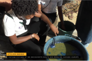 Atelier Indigo Atelier Indigo