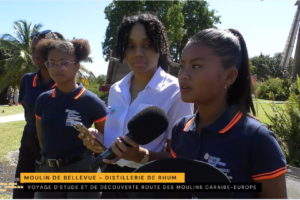 MOULIN DE BELLEVUE & DISTILLERIE DE RHUM MOULIN DE BELLEVUE & DISTILLERIE DE RHUM